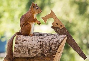 木工手工工具大全,手工木工工具圖片 木工手工工具大全,手工木工工具圖片